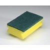 Small Clean Ups Sponge Scourers
